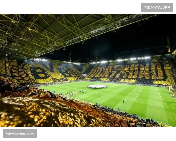 多特蒙德主场南看台巨型Tifo致敬欧冠之夜